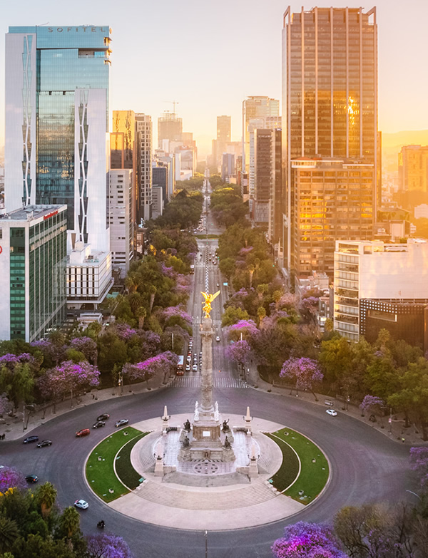 reforma